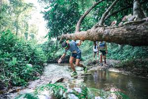 BIB: 
                            <button type="button" onclick="openModal(25436332)" class="btn btn-primary btn-sm float-right btn-popup" data-toggle="modal" data-target=".modal-high-quality">
                        <i class="fas fa-shopping-cart"></i> Add to Cart
                    </button>
                                            <button type="button" onclick="isThisMe(25436332, true)" class="btn btn-success btn-sm float-right btn-popup btn-isme hidden" data-toggle="tooltip" data-placement="bottom" title="นี่คือรูปของคุณใช่ไหม คลิกที่นี่เพื่อเอาเข้าอัลบั้ม">
                        <i class="fas fa-plus"></i> Add to album
                    </button>
                    <button type="button" onclick="isThisMe(25436332, false)" class="btn btn-warning btn-sm float-right btn-popup btn-isnotme hidden">
                        <i class="fas fa-ban"></i> Remove from album
                    </button>